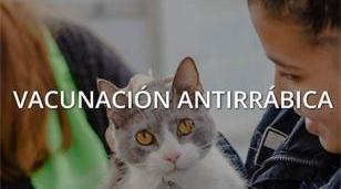 Vacunaci&oacute;n antirr&aacute;bica