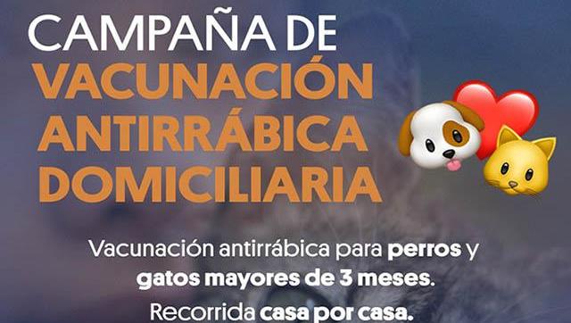 Campaña de vacunación antirrábica domiciliaria gratuita 