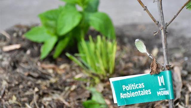 Morón se une al corredor verde continental para enfrentar el cambio climático